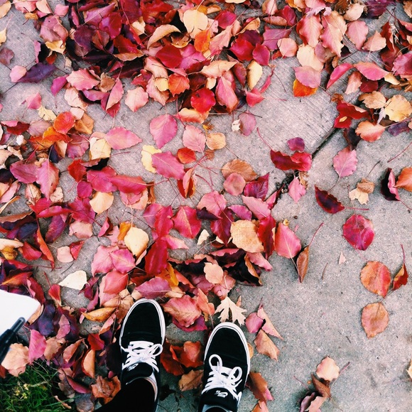 Meet your Posher, Ariel - Picture 2 of 2